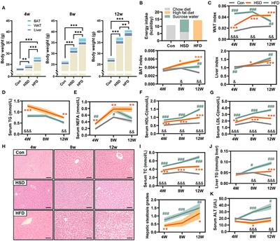 Microbial and Transcriptomic Profiling Reveals Diet-Related Alterations of Metabolism in Metabolic Disordered Mice